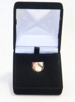 Lapel Pin