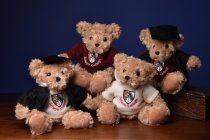 Graduation Teddy - Cream Hoody